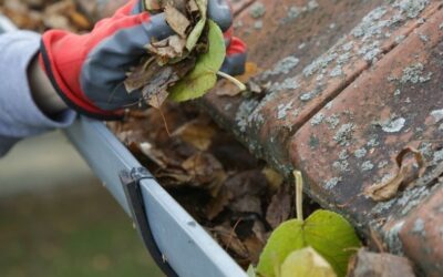 11 Reasons Why You Should Clean Your Gutters