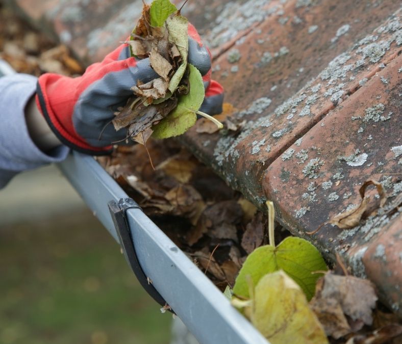 11 Reasons Why You Should Clean Your Gutters