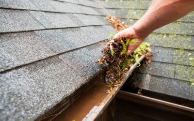 5 Reasons to Clean Your Gutters At Least Twice a Year