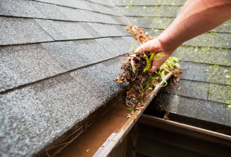 5 Reasons to Clean Your Gutters At Least Twice a Year