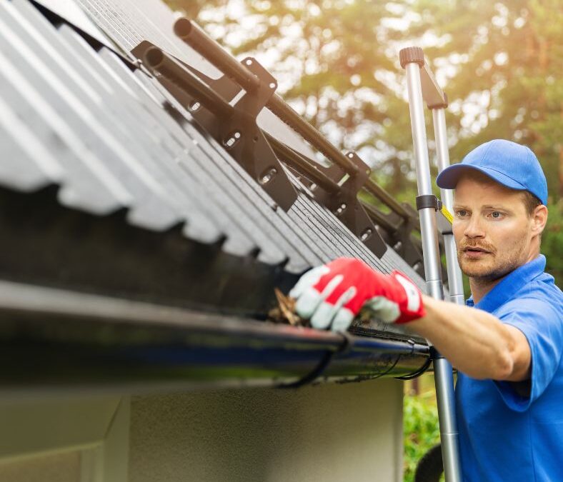 Exploring The Benefits Of A Gutter Cleaning Service Program
