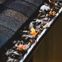 Gutter Cleaning