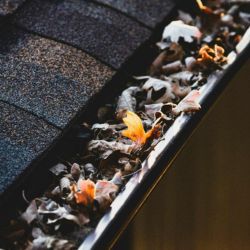 Gutter Cleaning