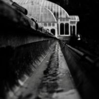 Gutter Cleaning
