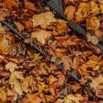 Gutter cleaning
