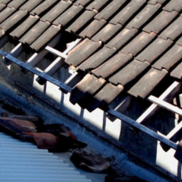 Gutter cleaning
