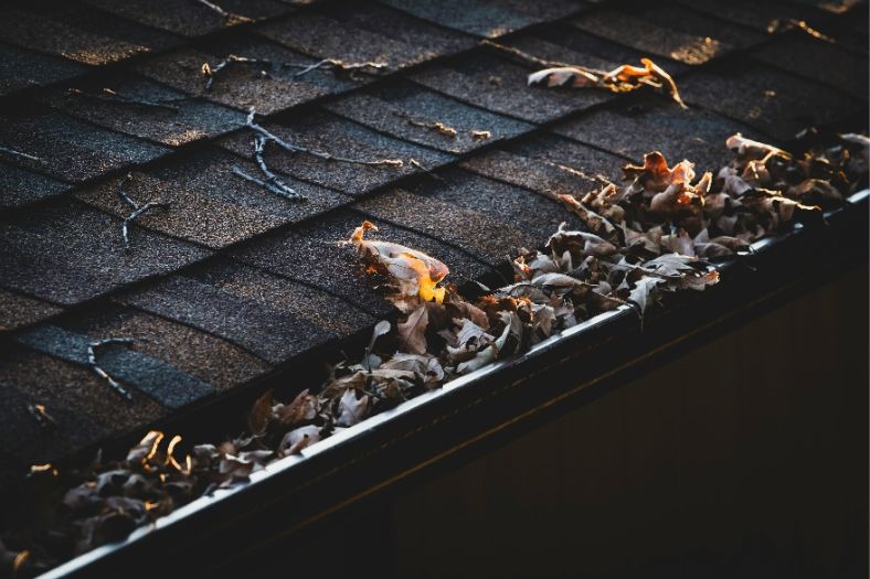 How often should you clean your gutters