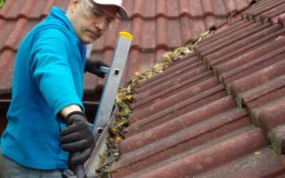 Professional Gutter Cleaning Services: Addressing Issues and Restoring Gutter Function