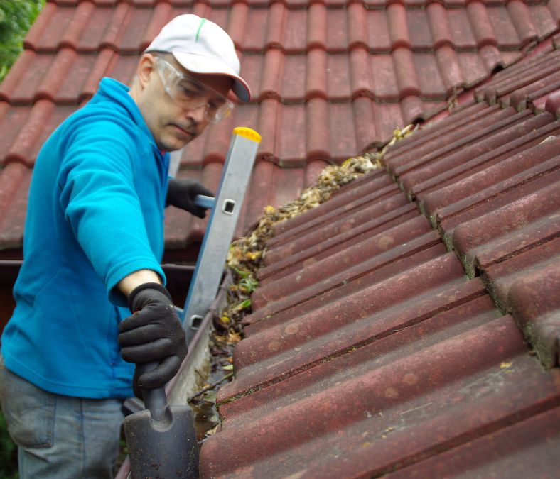 Professional Gutter Cleaning Services Addressing Issues and Restoring Gutter Function