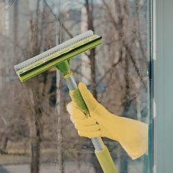 Window Cleaning