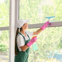 Window Cleaning