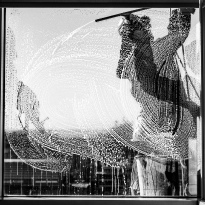 Window Cleaning