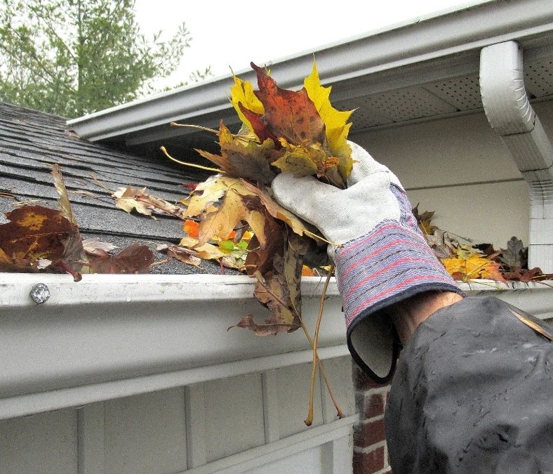 gutter cleaning in Chicago