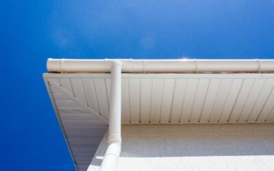 Never Cleaning Your Gutters: Is It An Option?