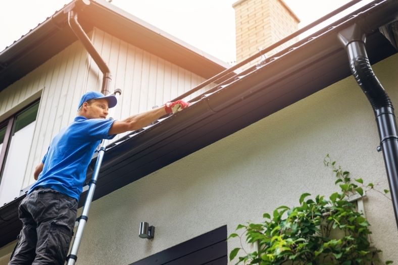 gutter cleaning in Oak Park