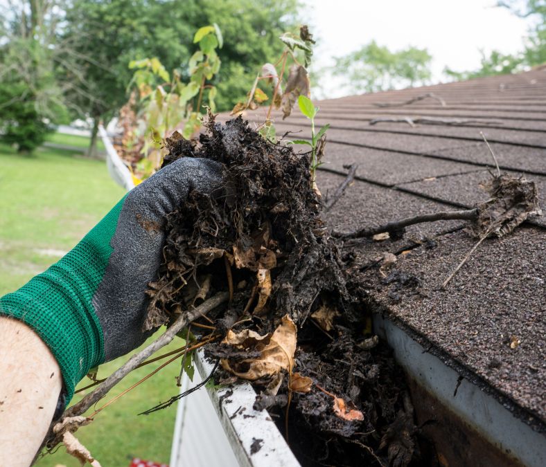 gutter cleaning in Park Ridge